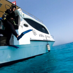 learn to dive, dive instructor, Whaleshark scuba dive daymaniyat island, best dive centre oman, muscat, best dive sites